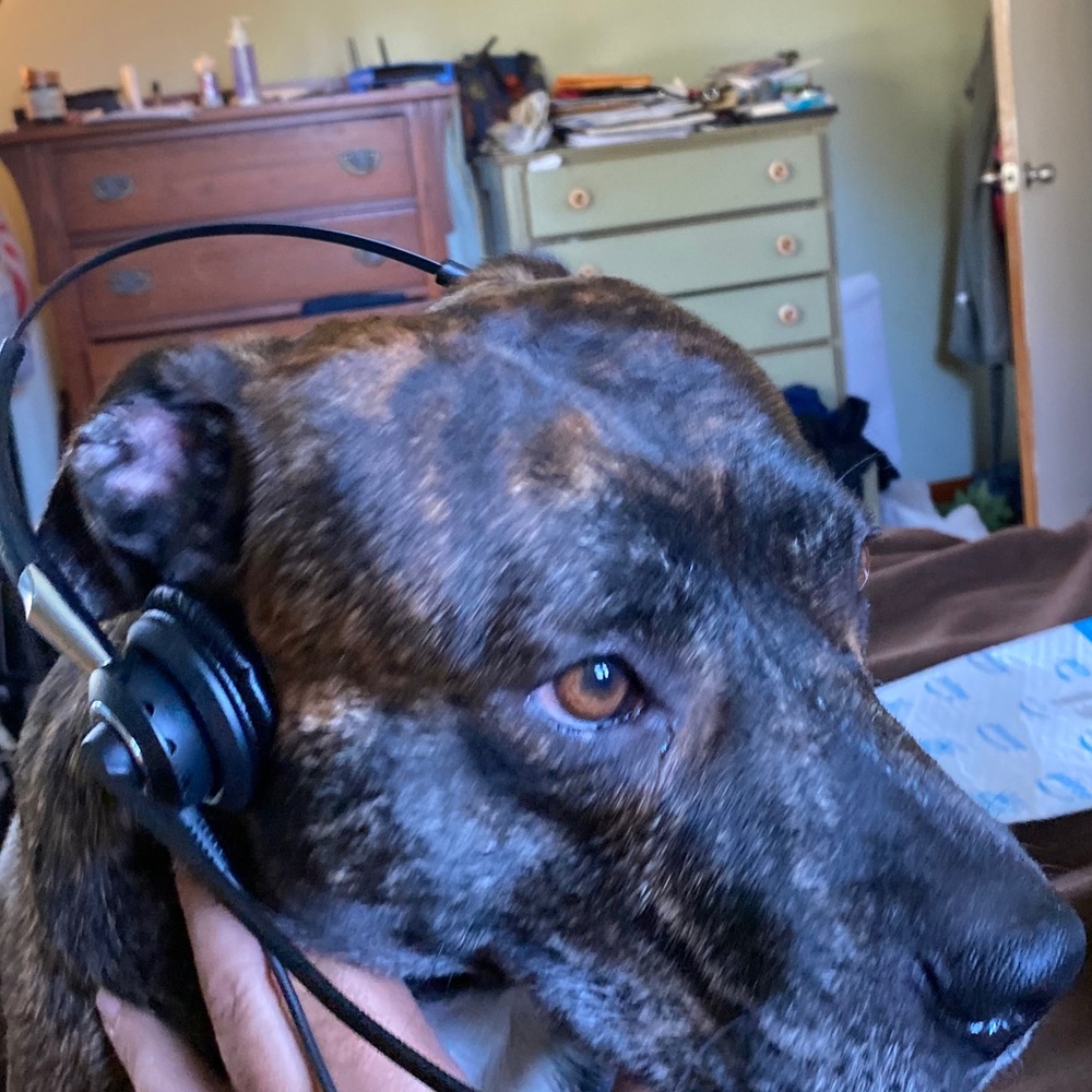 Meet your Posher, Terry